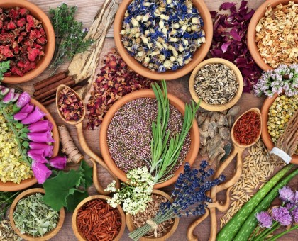 Les plantes adaptogènes : vos alliées contre le stress au quotidien