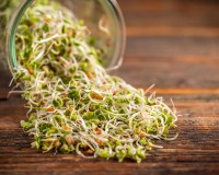 Les bienfaits insoupçonnés des graines germées