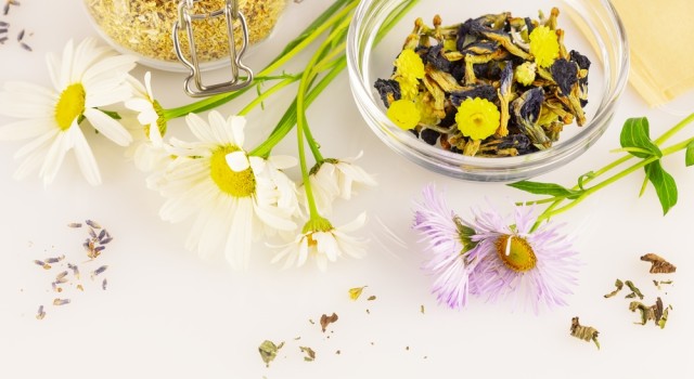 Tisanes bien-être : les infusions à connaître pour chaque petit trouble