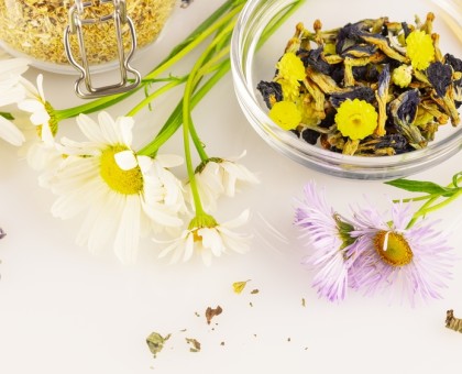 Tisanes bien-être : les infusions à connaître pour chaque petit trouble