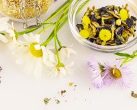 Tisanes bien-être : les infusions à connaître pour chaque petit trouble