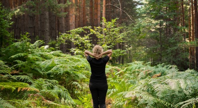 Pourquoi intégrer la marche méditative dans votre routine bien-être ?