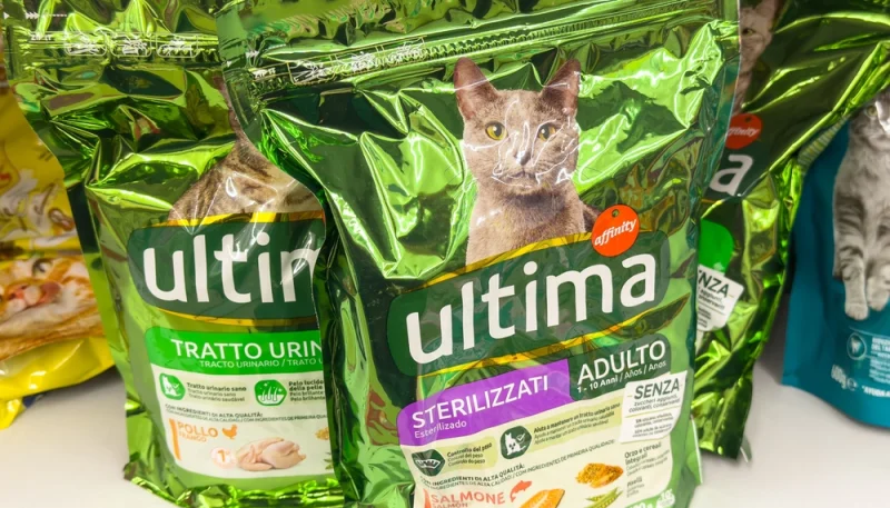 Produits naturels pour animaux : ce qui est vraiment sans danger