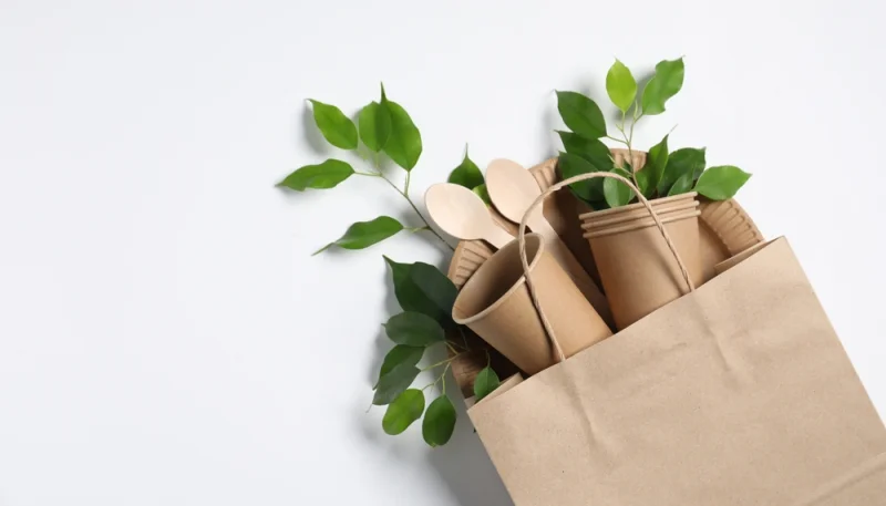 Produits éco-responsables : comment faire les bons choix ?