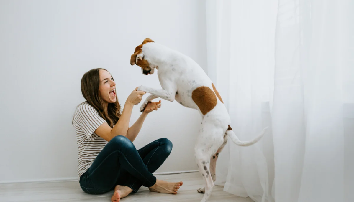 Bien-être animal : comment prendre soin de votre compagnon