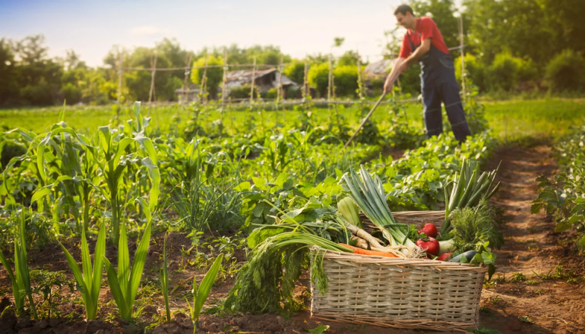 Jardinage naturel : méthodes écologiques à adopter