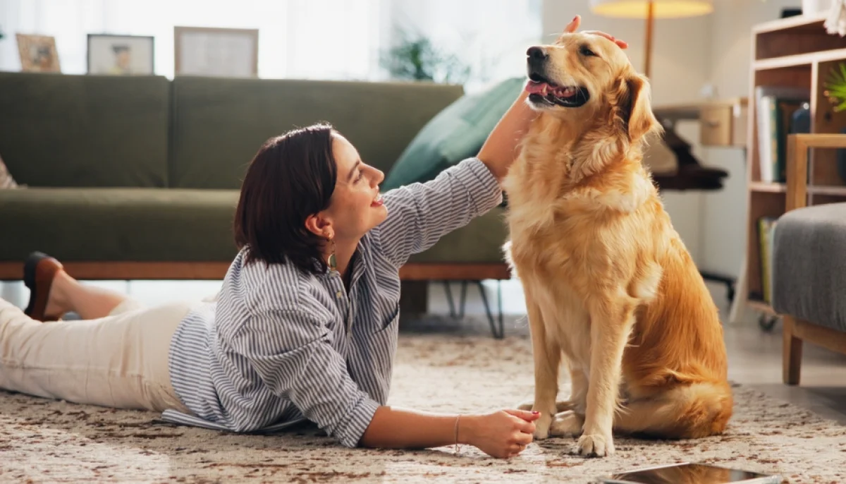 Animaux et santé : les bienfaits sur le moral