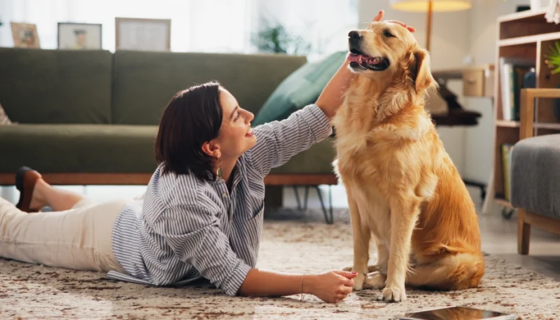 Animaux et santé : les bienfaits sur le moral