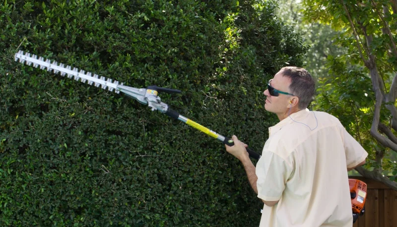 Entretenir son jardin : conseils pratiques