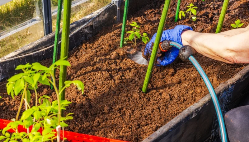 Conseils essentiels pour un jardin bien entretenu