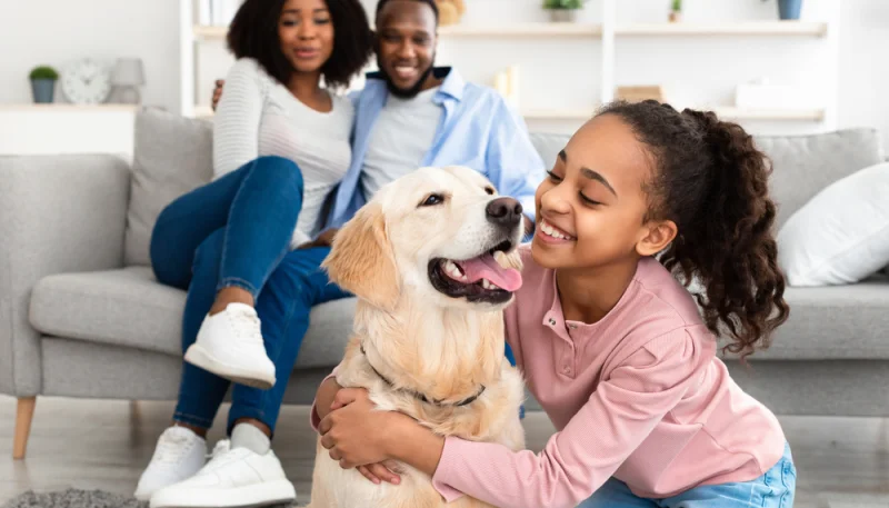 Adopter un animal : ce qu’il faut savoir