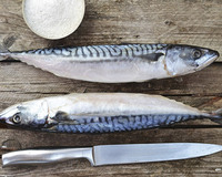 Le maquereau, une excellente source d’oméga 3