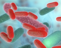 Bactéries et virus : faites-vous la différence ?