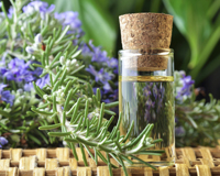 Quelles huiles essentielles contre les infections urinaires ?