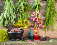 5 plantes pour renforcer votre immunité et être en pleine forme tout l’hiver