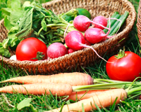 Comment débarrasser naturellement mes fruits et légumes des résidus de pesticides ?