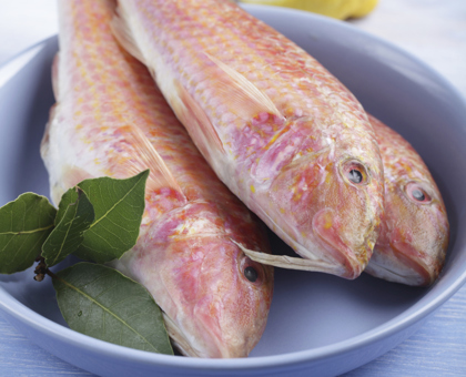 Rougets grillés au fenouil