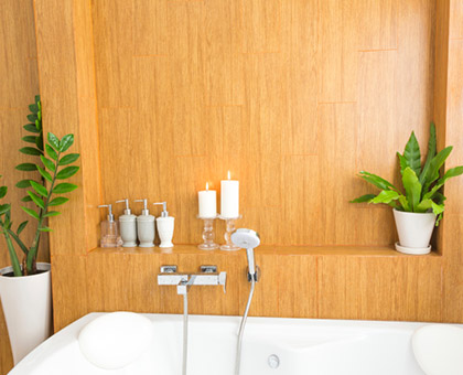 Les plantes pour assainir votre salle de bain