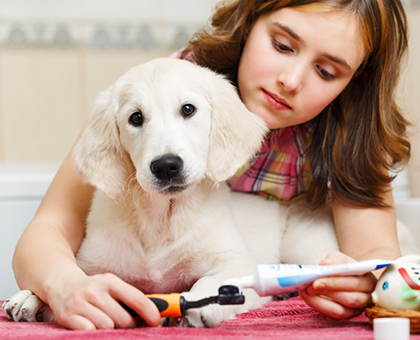 Votre chien à mauvaise haleine ?
