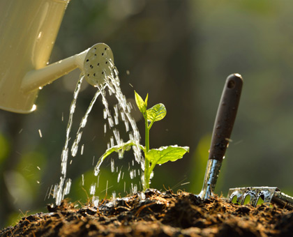 Arrosez sans gaspiller !