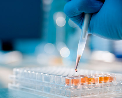 Comment fabriquer une dent à partir d’urine ?