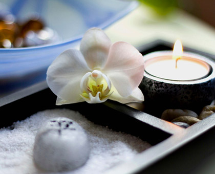 Des plantes et des fleurs pour un intérieur plus Feng shui