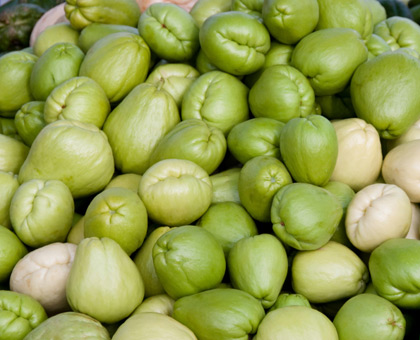 Zoom sur la christophine, de l'exotisme au menu !