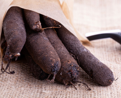 Le salsifis, un légume minceur contre la constipation et les cancers du tube digestif