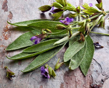 4 recettes naturelles contre la transpiration des pieds