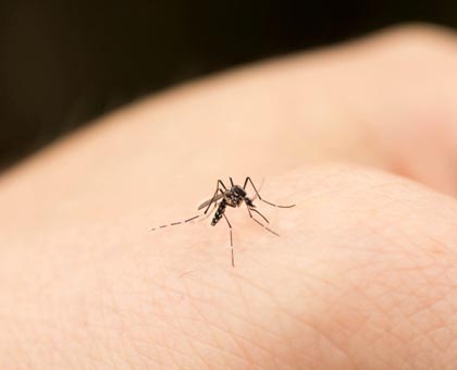 Vendredi 25 avril 2014 : Journée mondiale contre le paludisme