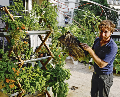Comment créer un mini-potager sur son balcon ?