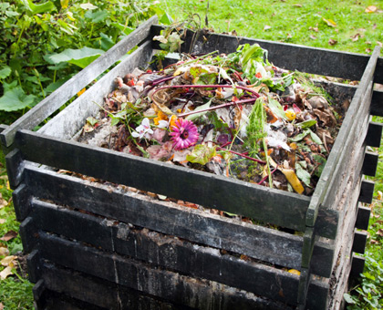 Que mettre dans son compost ?
