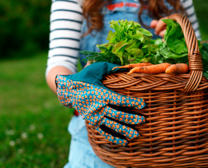 Livres : 3 nouveautés pour réussir son potager