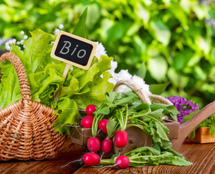 Printemps Bio 2014, à la découverte des terroirs bio de France