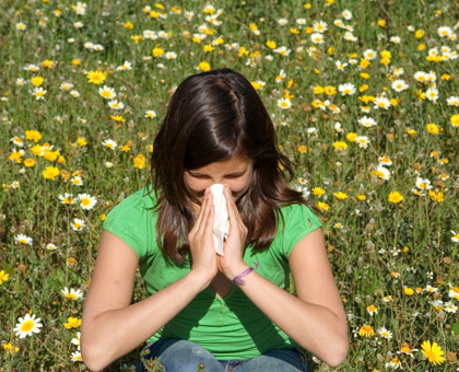 Alerte maximum aux pollens sur toute la France