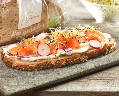 Tartine fraîcheur saumon et pain bio