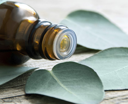 Les huiles essentielles contre les maux d’hiver