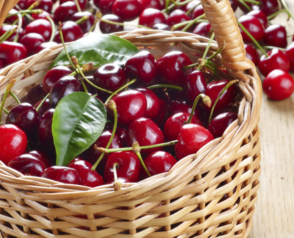 La cerise, un fruit diurétique riche en minéraux et oligo-éléments