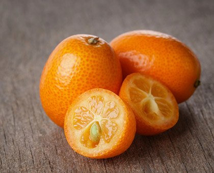 Le kumquat, petit mais costaud !