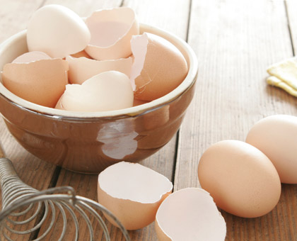 Que faire avec des coquilles d'oeufs ?