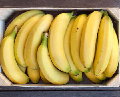 Que faire de vos peaux de bananes et bananes trop mûres ?