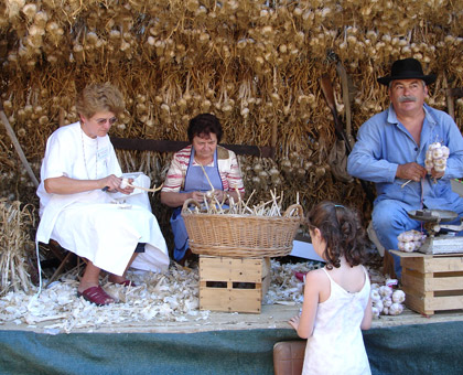 En août on célèbre l'Ail Rose de Lautrec, un trésor de la gastronomie française !