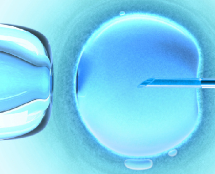 Une révolution pour la FIV : un embryon visualisé en 3D