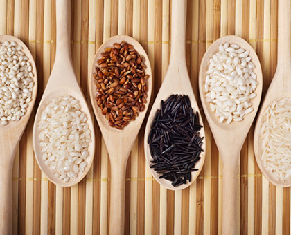 Le riz, à chaque variété son intérêt