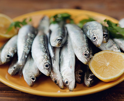 La sardine, riche en fer et en vitamine D