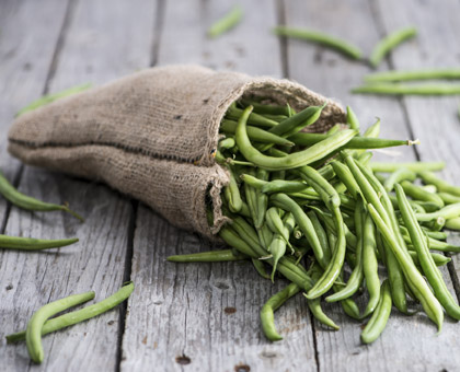 Les haricots verts, un légume régime plein de vitamines