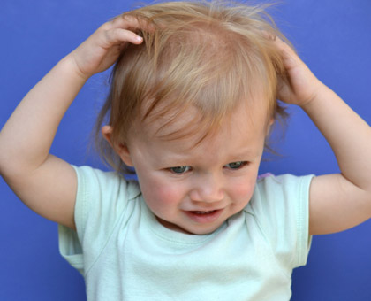 Vrai ou faux : L’huile essentielle de lavande fine est efficace contre les poux