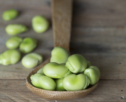 La fève fraîche, riche en fibres et en protéines végétales