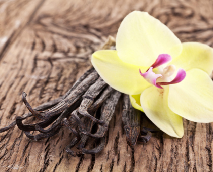 La vanille : coupe-faim et antistress naturel