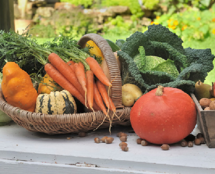 Fruits et légumes de saison : en novembre, je mets quoi dans mon panier ?